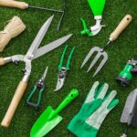 Hobbies into Passions